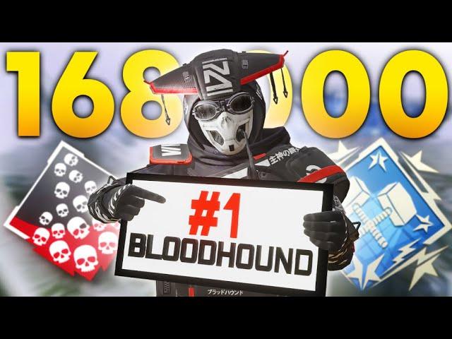 Meet The #1 Bloodhound In Apex Legends (168,000+ Kills)