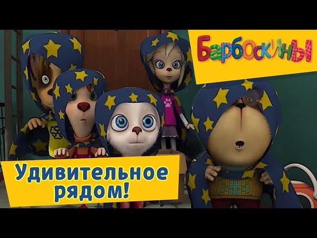 Барбоскины -  Удивительное рядом! Сборник 2017 года