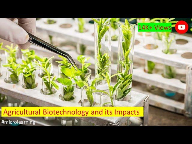 Agricultural Biotechnology: A Comprehensive Guide to Innovation in Farming (8 Minutes)