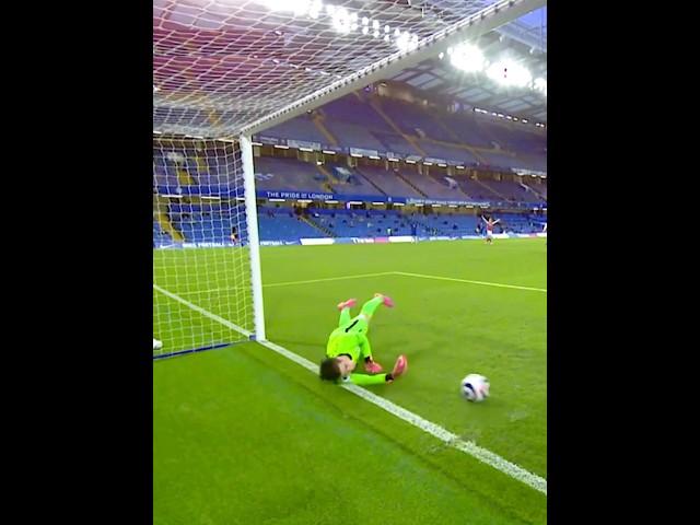 Impossible Goalkeeper Saves 