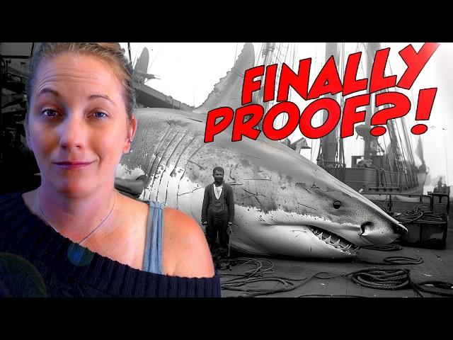 Megalodon Fact VS Fiction: Marine Biologist Reacts to the Evidence