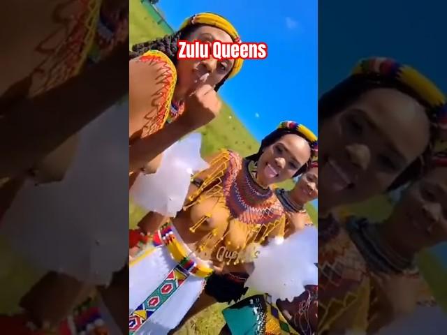 Zulu Queens #proudlysouthafrican #africa #culture #africanqueen #zulu#indigenous #africa #shortvideo