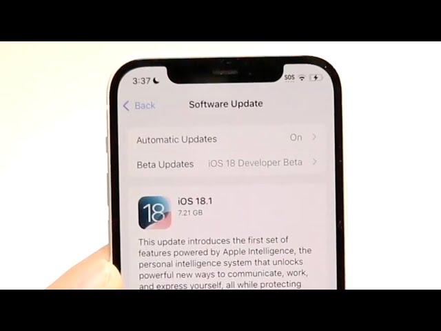 The iPhone 12 Is INSANE On iOS 18.1!