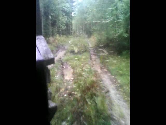 По Югорской тайге на МТЛБ 6