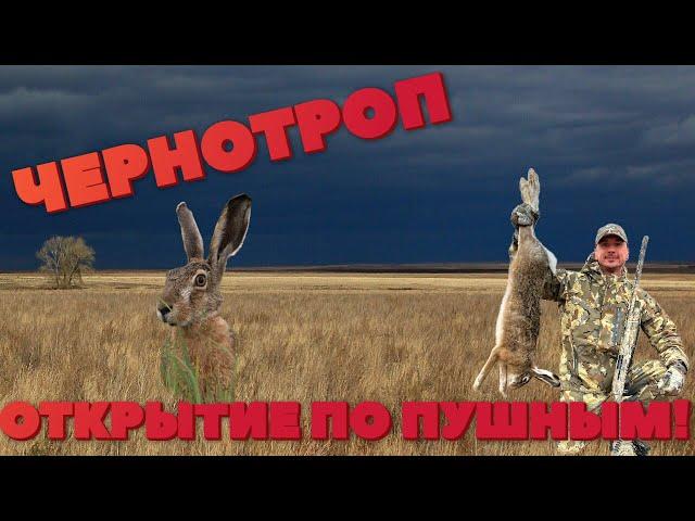 ЧЕРНОТРОП. ОТКРЫТИЕ ПО ПУШНЫМ.