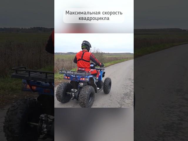 Сколько максимально пойдет новый квадроцикл Activator 250 за 279 т.р?