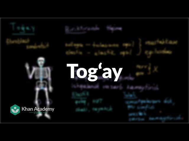 Tog‘ay | Odam tanasidagi tizimlar | Yuqori sinf biologiyasi