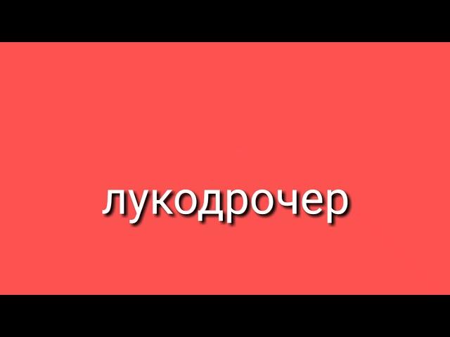 Топ 5 бесячих типов в зе бридж!