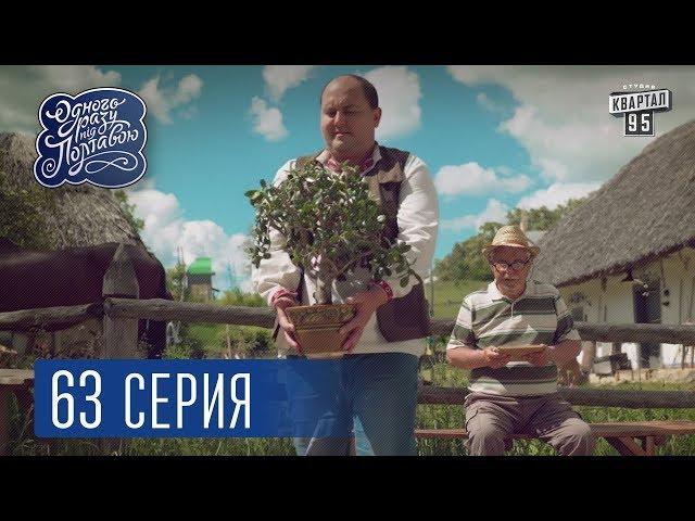 Однажды под Полтавой. Денежное дерево - 4 сезон, 63 серия | Комедийный сериал 2017