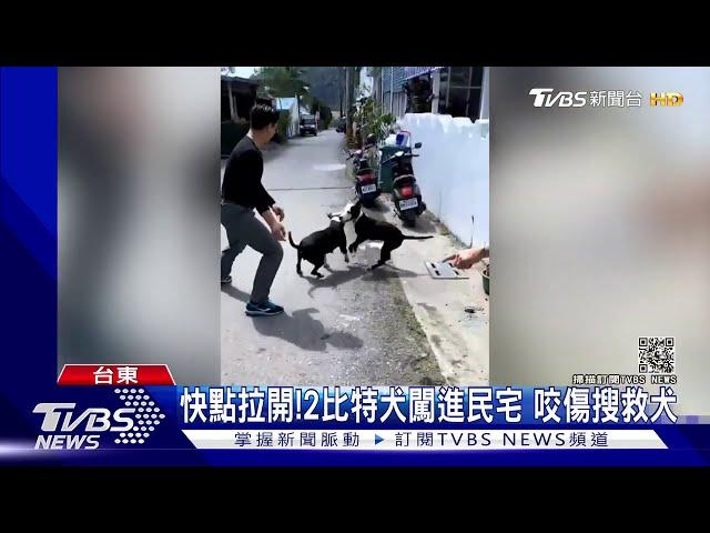 快點拉開!2比特犬闖進民宅 咬傷搜救犬｜TVBS新聞