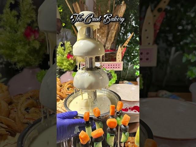 Luxury  Catering  in Jaipur By The Crust || Best Presentation