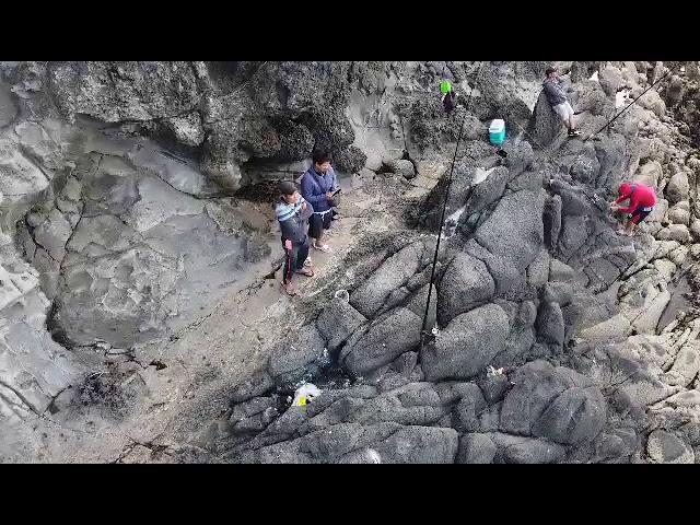 ruapuke(RAGLAN)rockfishing2020