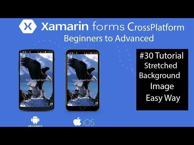 Xamarin Forms Stretched Background Image [Tutorial 30]