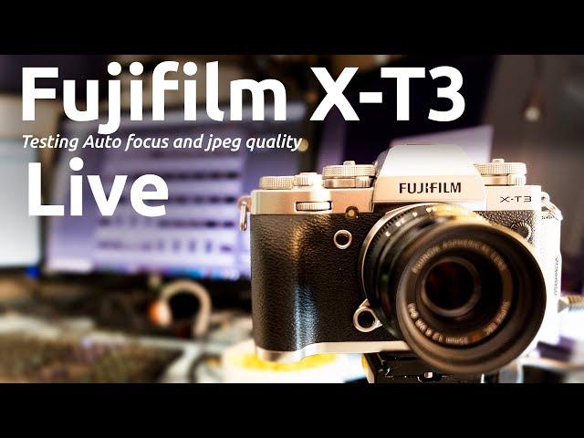 FUJIFILM X-T3 AUTOFOCUS SPEED AND JPEGS