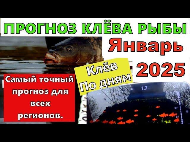 Лунный календарь клева рыбы на Январь 2025 года  Календарь клева рыбы Лунный Календарь рыбака