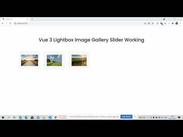 Vue 3 Lightbox Gallery Slider Working Demo