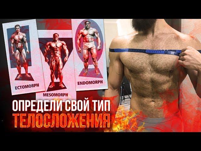 ТИПЫ ТЕЛОСЛОЖЕНИЯ (КАК ОПРЕДЕЛИТЬ?)