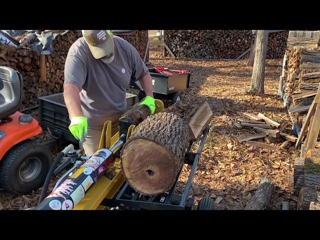 Splitting black walnut . #firewood