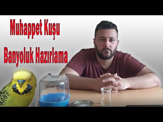 Muhabbet Kuşlarına Banyoluk Hazırlama / OAÇ TV