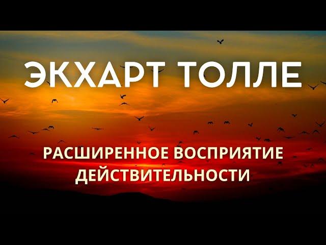 Расширенное восприятие действительности - ЭКХАРТ ТОЛЛЕ [Nikosho]