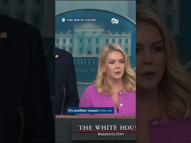 White House: Amazon's transparency to customers about tariff price hikes a 'hostile, political act'