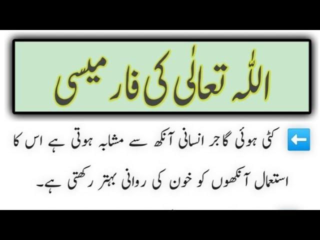 The pharmacy of Allah Almighty / achi baatein / MOhammad Suliman Voice || #215