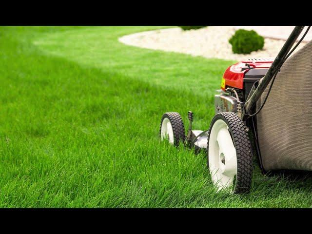 How to Properly Mow a Lawn - Is Mowing Tall or Short Better for the Roots?