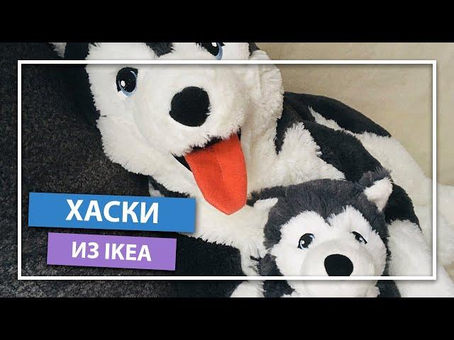 СИБИРСКИЙ ХАСКИ ИЗ ИКЕИ | ИГРУШКА ЛИВЛИГ ОБЗОР