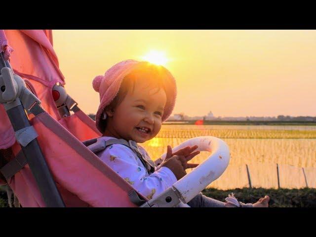 Sunset Walks in the Rice Fields of Vietnam | Meigo Märk Vlog