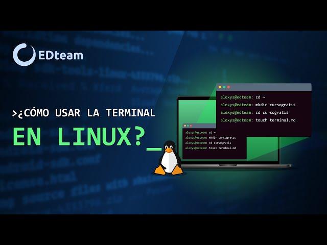 Curso: Domina la terminal en Linux (1)