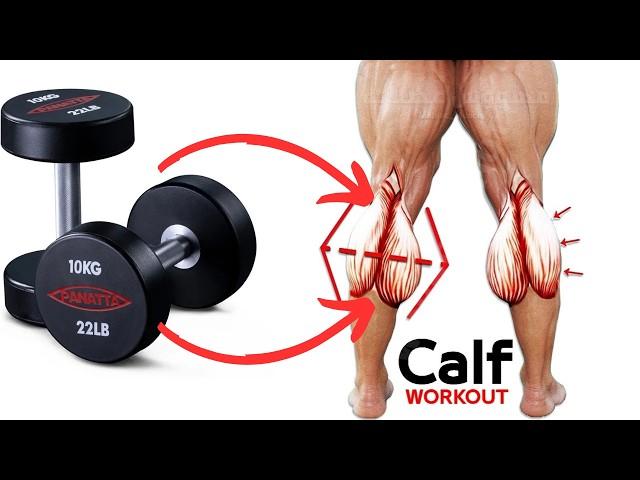 6 Best Calf Exercises With Dumbbells - You Can Do to Get Big Calves Workout