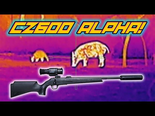 Hog Hunting at Night with the CZ600 Alpha!