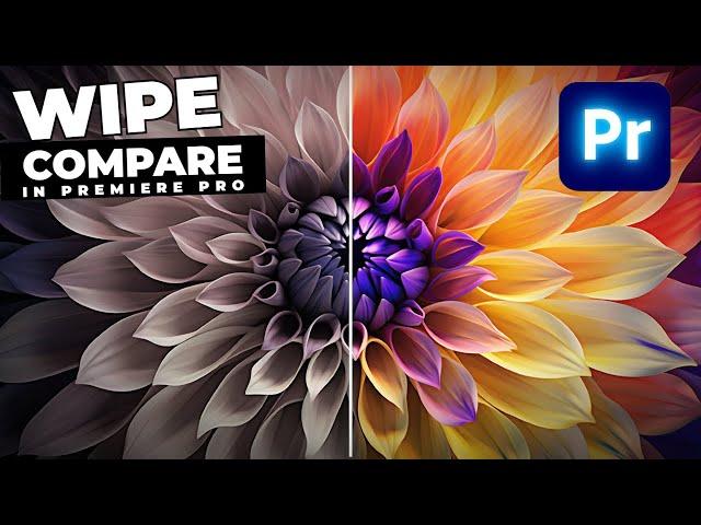 BEFORE And AFTER Wipe Transition Tutorial In Premiere Pro