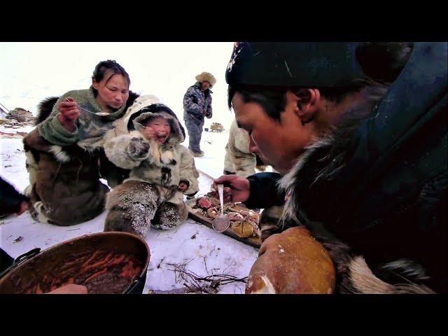 from breakfast to dinner. a day with north nomads in arctic tundra