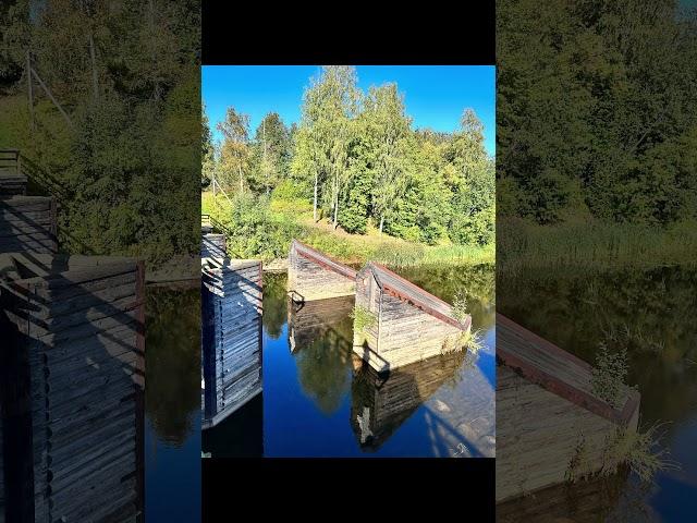 #прогулка #парк #тихвин #белка #шлюз #жара #выходные #река #воскресенье