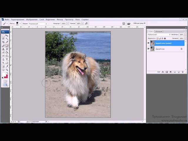 Уроки Photoshop #64. Как размыть фон в фотошопе