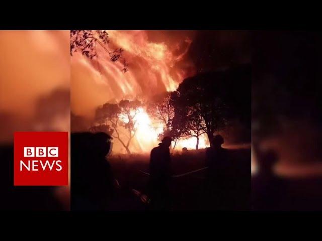 Tourists flee raging wildfires across French Riviera - BBC News