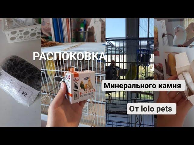 Распоковка минерального камня от lolo pets|Для попугая.