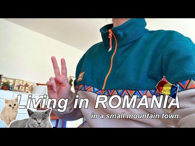 Daily Life in Romania, Cooking Romanian Cabbage Stew, Shopping, Silent Vlog / Vlogmas