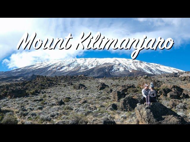 MOST Successful Route on Kilimanjaro | Northern Circuit Route Part I