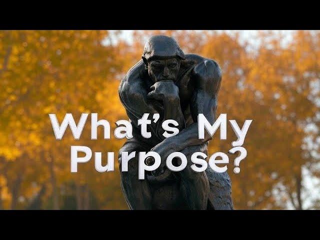 What’s My Purpose? Walk and Talk