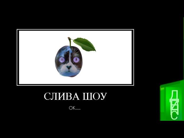 ЮТУБЕРЫ + ШИЗА = (2)