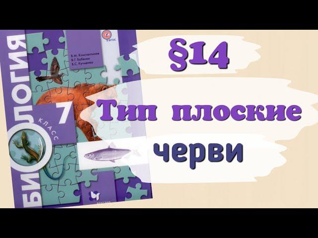 Краткий пересказ §14 Тип Плоские черви. Биология 7 класс Константинова