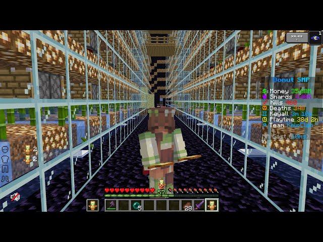 Making fat stacks with bamboo on DONUT SMP