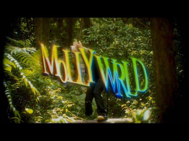 Johnnyboi & SiNNER MOON - MOLLY WRLD [Official Music Video]  [Dir. by ‪​@richtheloner]