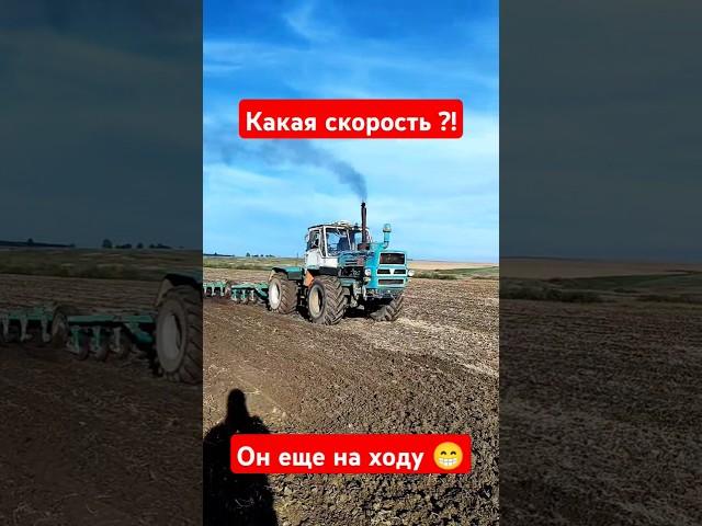 Дисковка на тракторе #Т150 #полевые #тракторист #мтз #farming #agriculture #mtz