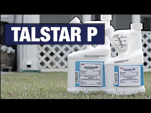 Talstar P Professional Insecticide