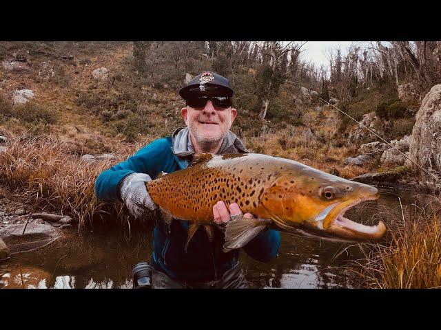 Eucumbene Brown Trout Spawn Run - 2 to 8 June 2024 - Part 6 (I catch a PB Brown)