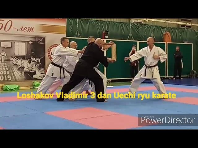 Tameshiwari Vladimir loshakov 3 dan Uechi ryu karate Okikukai Russia Moscow