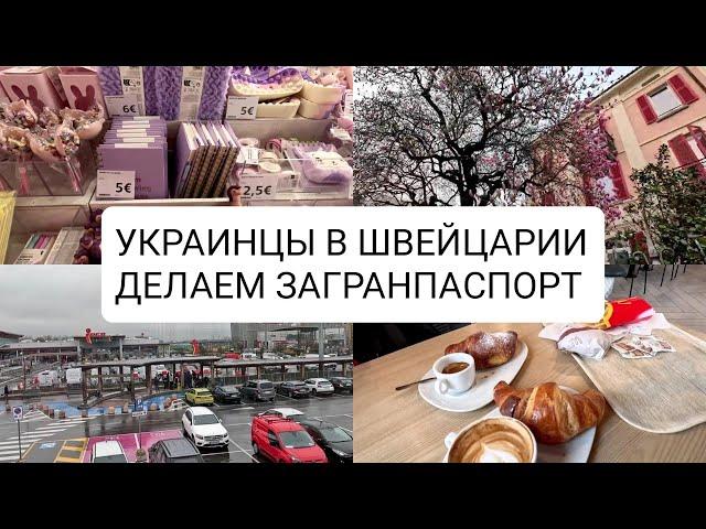 Беженцы  в Швейцарии  У нас получилось! Секонд хенд, магнолия и паспорт.